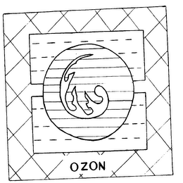 OZON logo