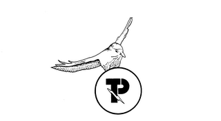 P logo