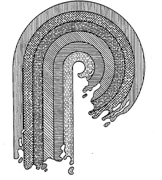 P logo