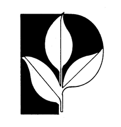 P logo