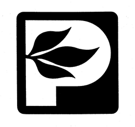 P logo
