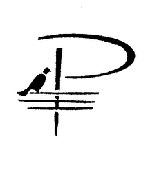 P logo