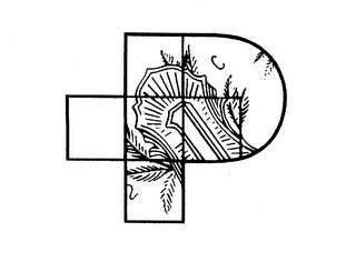 P logo