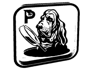 P logo