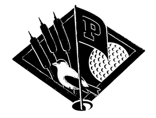 P logo