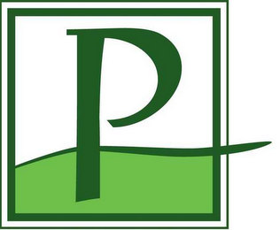 P logo