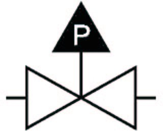 P logo