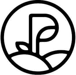 P logo