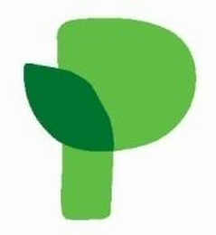 P logo