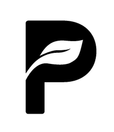 P logo