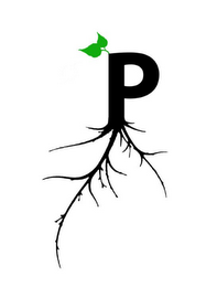 P logo