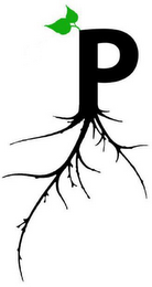 P logo