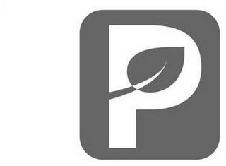 P logo