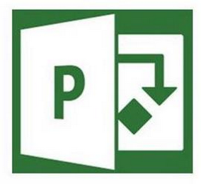 P logo