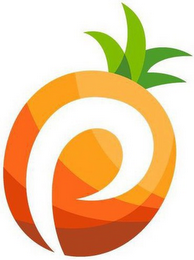 P logo