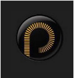 P logo