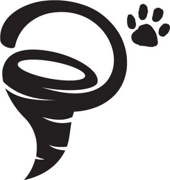 P logo