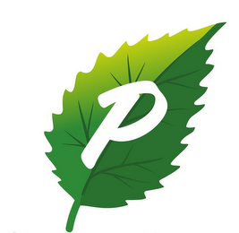 P logo