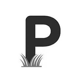 P logo