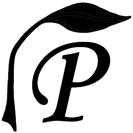 P logo
