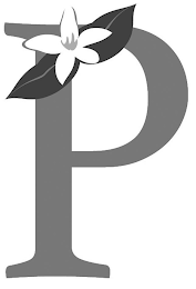P logo