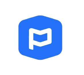 P logo