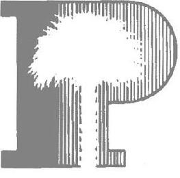 P logo