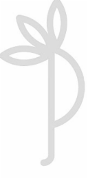 P logo