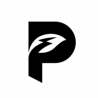 P logo