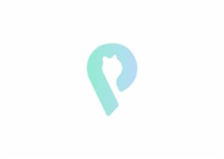 P logo