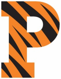P logo