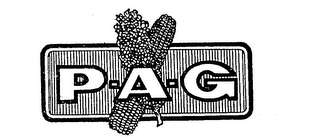 P-A-G logo
