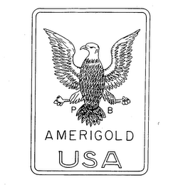P B AMERIGOLD USA logo