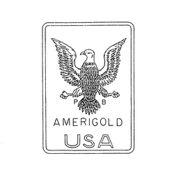 P B AMERIGOLD USA logo