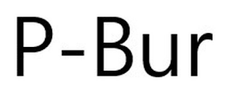 P-BUR logo