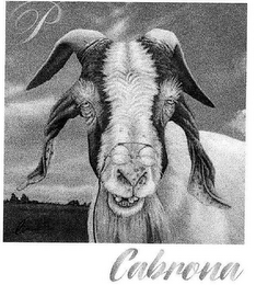 P CABRONA logo