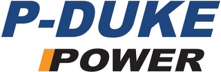 P-DUKE POWER logo