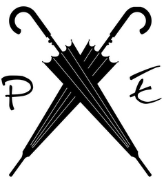 P E logo
