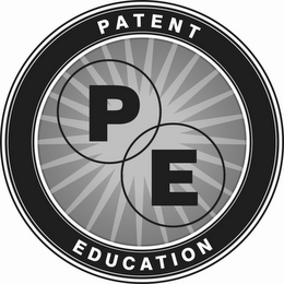 P E PATENT EDUCATION logo