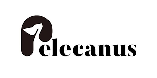 P ELECANUS logo