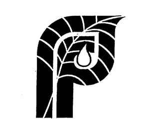 P F logo