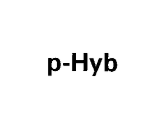 P-HYB logo