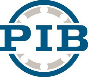 P I B logo