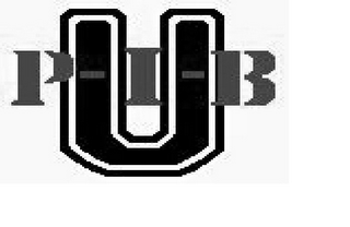 P-I-B U logo