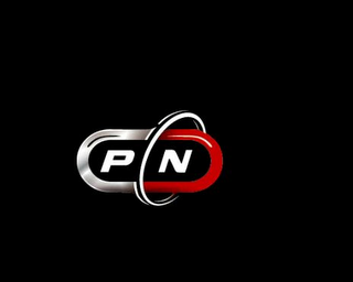 P N logo