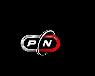 P N logo