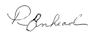 P NHEAD logo