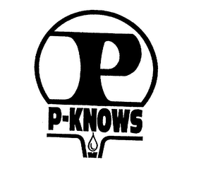 P P-KNOWS logo