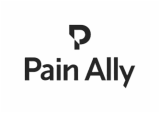 P PAIN ALLY logo