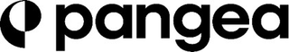 P PANGEA logo